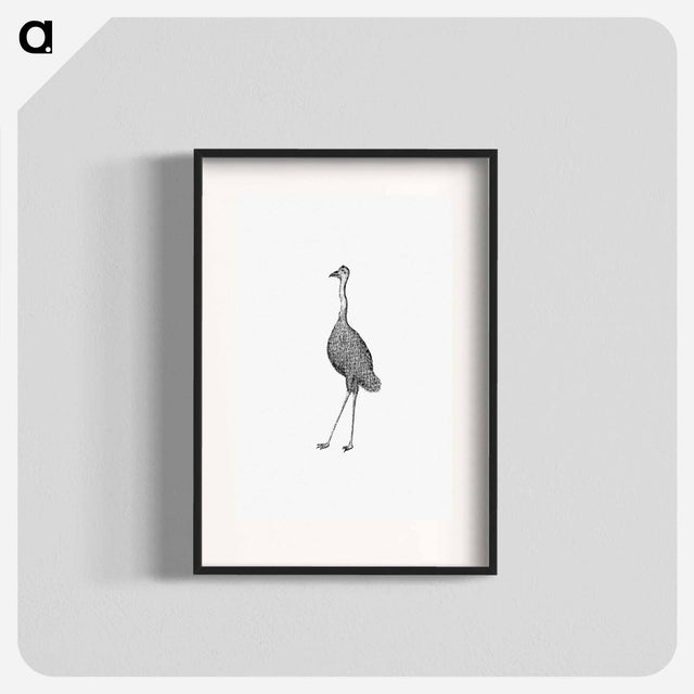 アートポスター-Emu from An Account of the English Colony in New South Wales
 - 大英図書館 Poster.