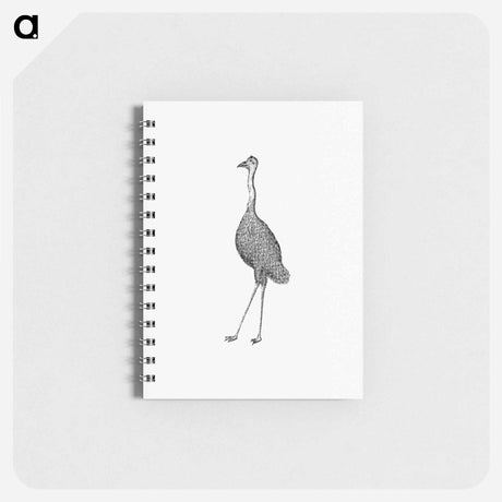 アートメモ帳-Emu from An Account of the English Colony in New South Wales
 - 大英図書館 Memo.