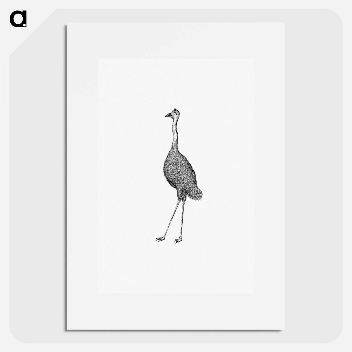 アートポスター-Emu from An Account of the English Colony in New South Wales
 - 大英図書館 Poster.