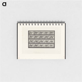 アートメモ帳-Running Camel
 - エドワード マイブリッジ Memo.