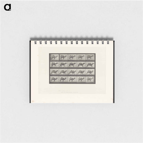 アートメモ帳-Running Camel
 - エドワード マイブリッジ Memo.
