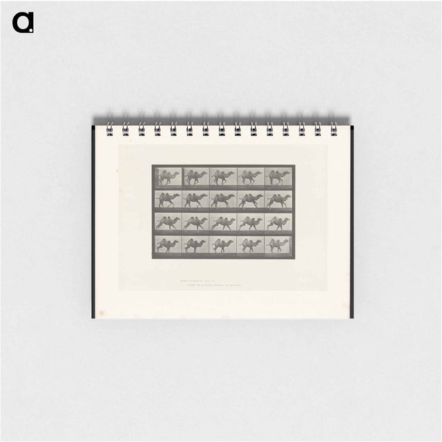 アートメモ帳-Running Camel
 - エドワード マイブリッジ Memo.
