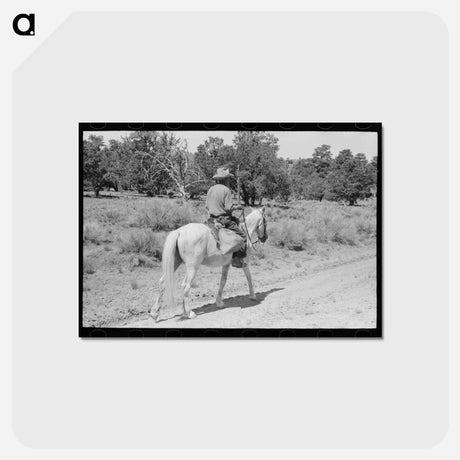 アートポストカード-Homesteader Returning Home
 - ラッセル リー Postcard.