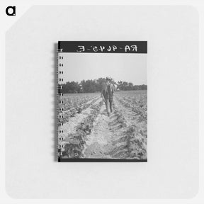アートメモ帳-White tenant farmer works on shares - ドロテア ラング Memo.