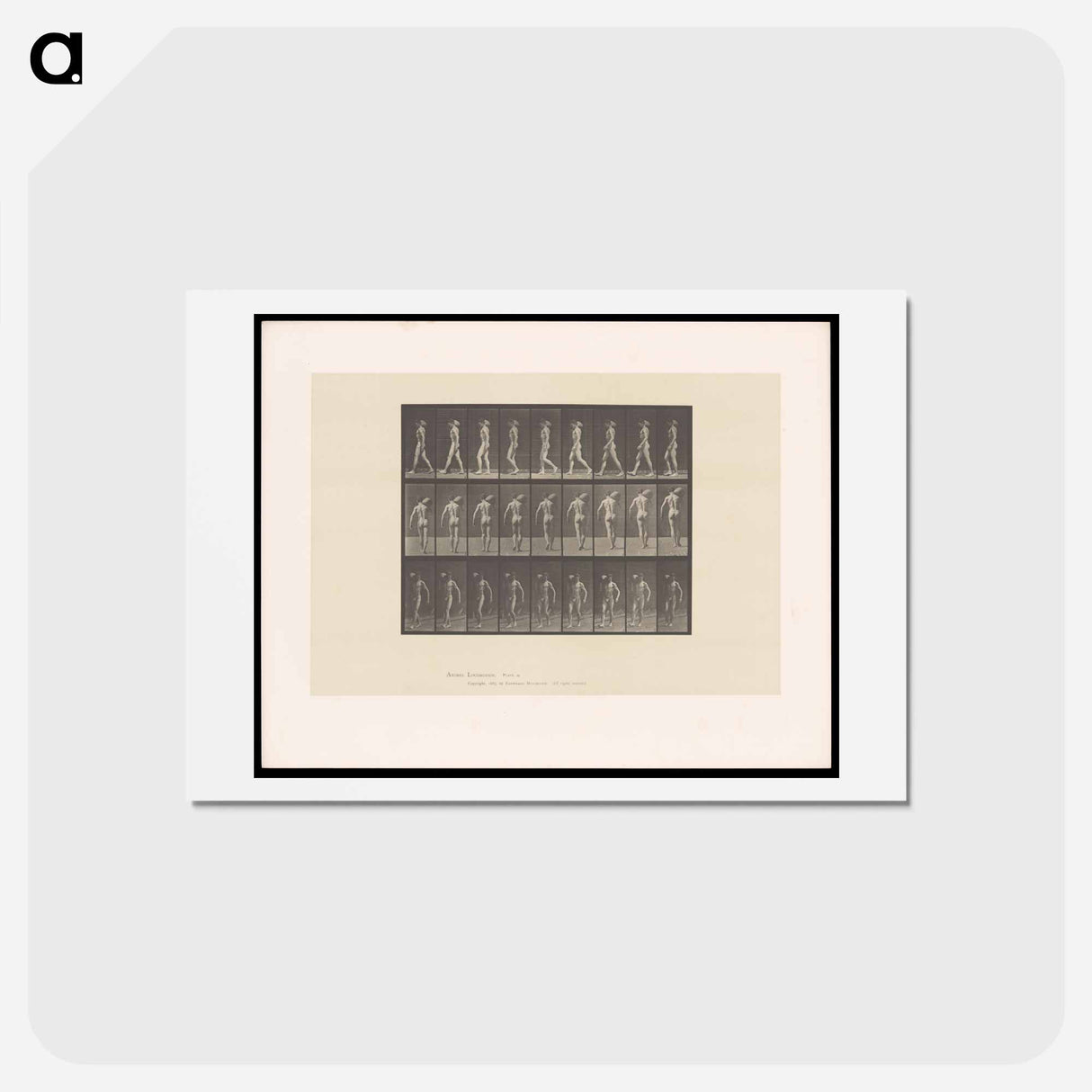 アートポストカード-Man Bearing Load
 - エドワード マイブリッジ Postcard.