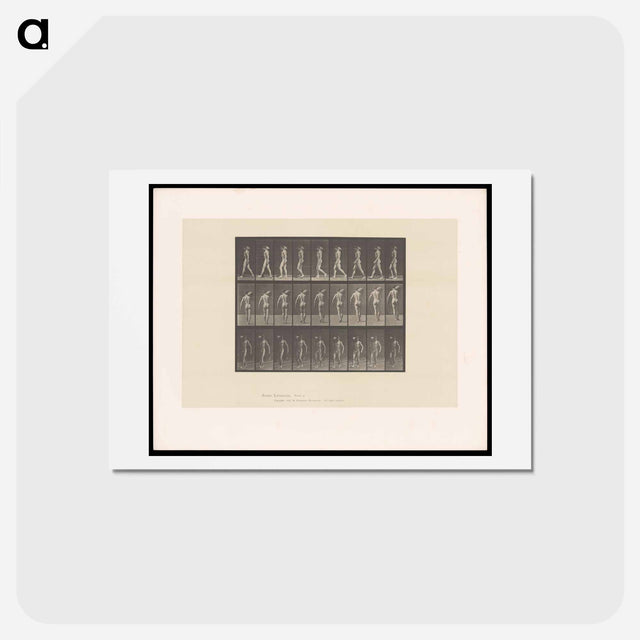アートポストカード-Man Bearing Load
 - エドワード マイブリッジ Postcard.