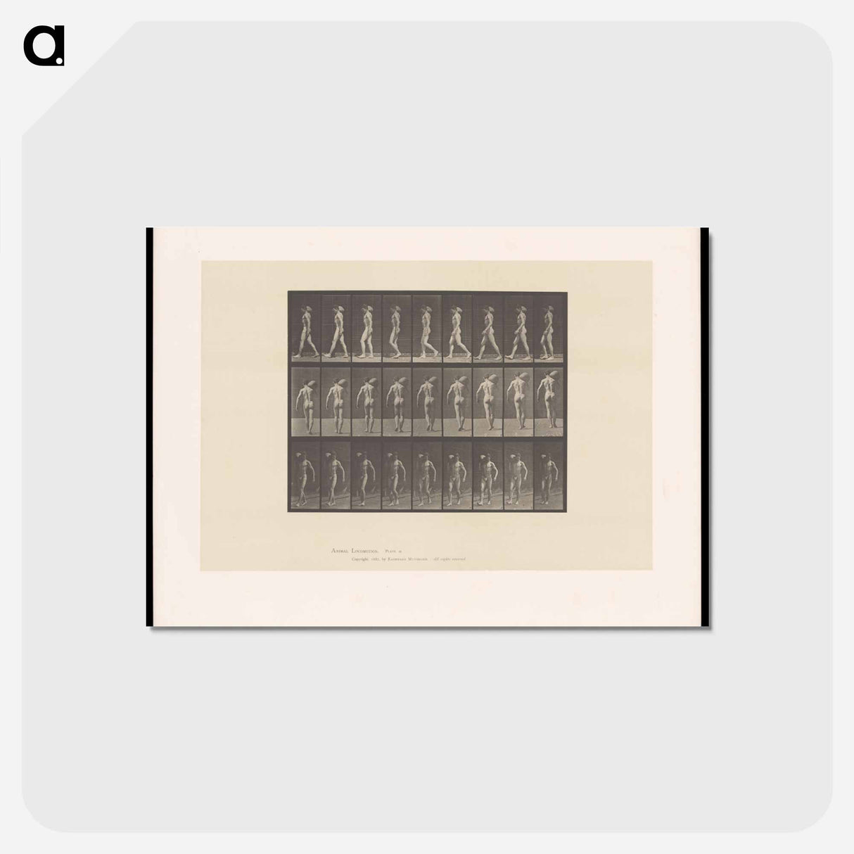 アートポストカード-Man Bearing Load
 - エドワード マイブリッジ Postcard.