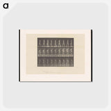 アートポストカード-Man Bearing Load
 - エドワード マイブリッジ Postcard.