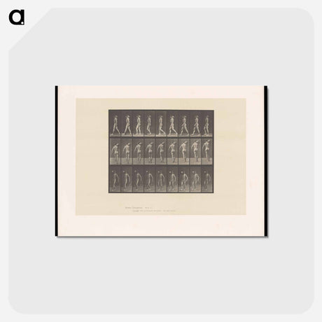 アートポストカード-Man Bearing Load
 - エドワード マイブリッジ Postcard.