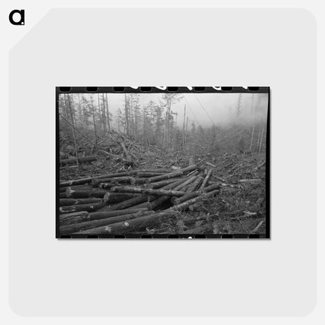 アートポストカード-Long Bell Lumber Logs
 - ラッセル リー Postcard.