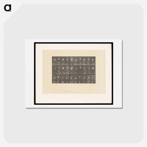 アートポストカード-Woman with Bowl and Water Jar
 - エドワード マイブリッジ Postcard.