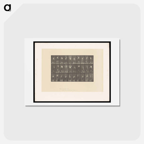 アートポストカード-Woman with Bowl and Water Jar
 - エドワード マイブリッジ Postcard.