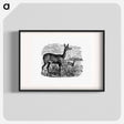 アートポスター-Doe Deer from Great African Travellers
 - 大英図書館 Poster.