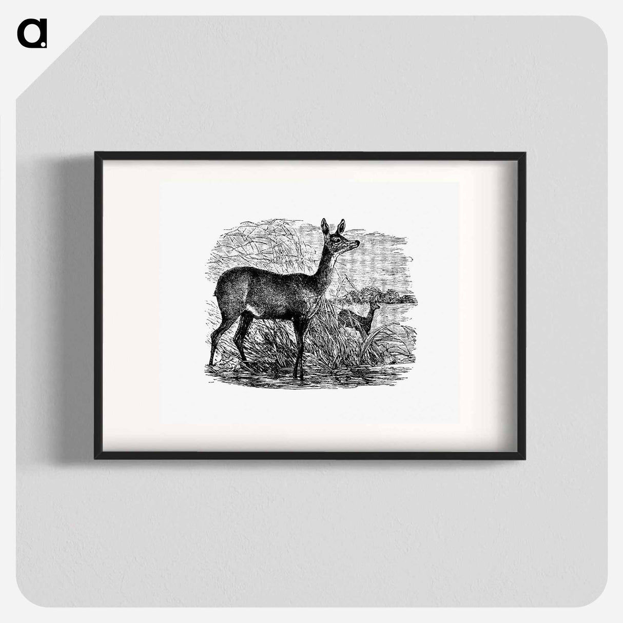 アートポスター-Doe Deer from Great African Travellers
 - 大英図書館 Poster.