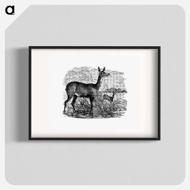 アートポスター-Doe Deer from Great African Travellers
 - 大英図書館 Poster.
