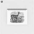 アートメモ帳-Doe Deer from Great African Travellers
 - 大英図書館 Memo.