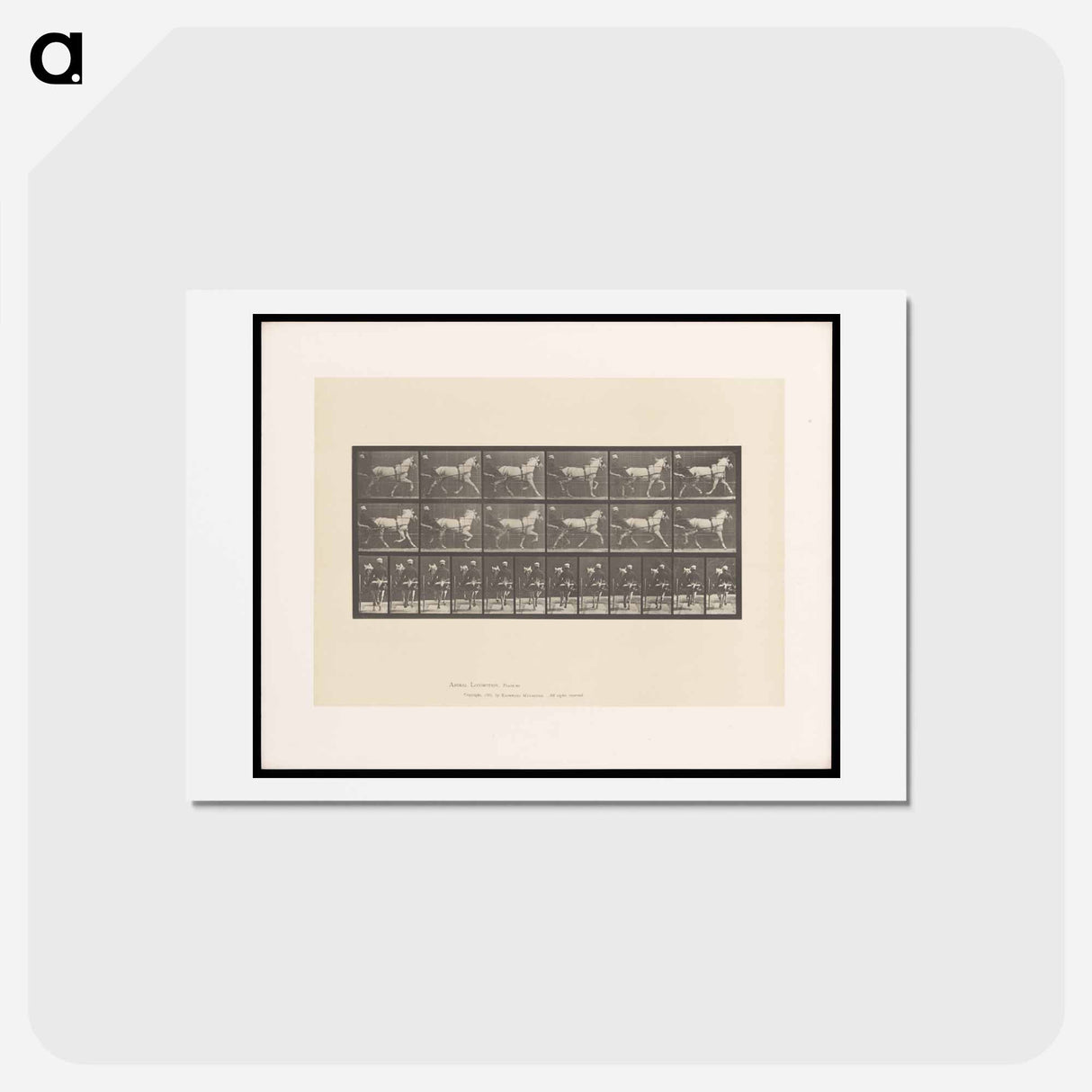 アートポストカード-Sulky Driver
 - エドワード マイブリッジ Postcard.