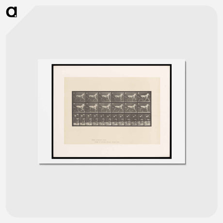 アートポストカード-Sulky Driver
 - エドワード マイブリッジ Postcard.