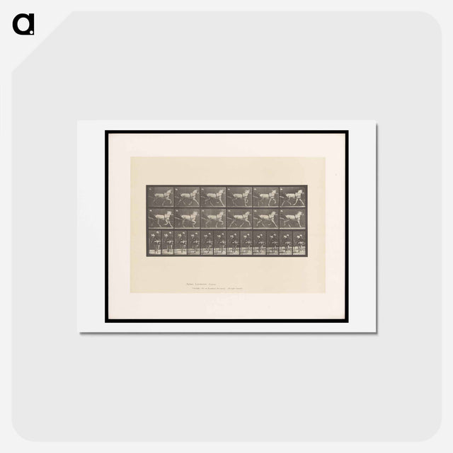 アートポストカード-Sulky Driver
 - エドワード マイブリッジ Postcard.