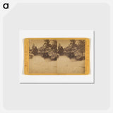 アートポストカード-Wild Cat Fall
 - エドワード マイブリッジ Postcard.