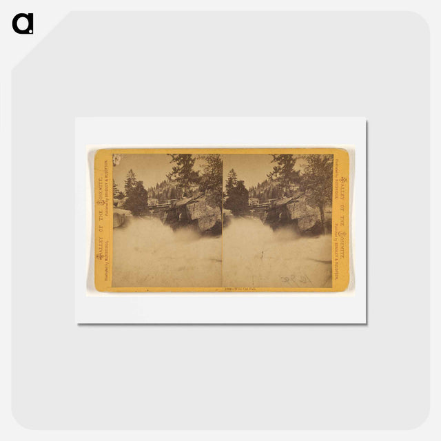 アートポストカード-Wild Cat Fall
 - エドワード マイブリッジ Postcard.