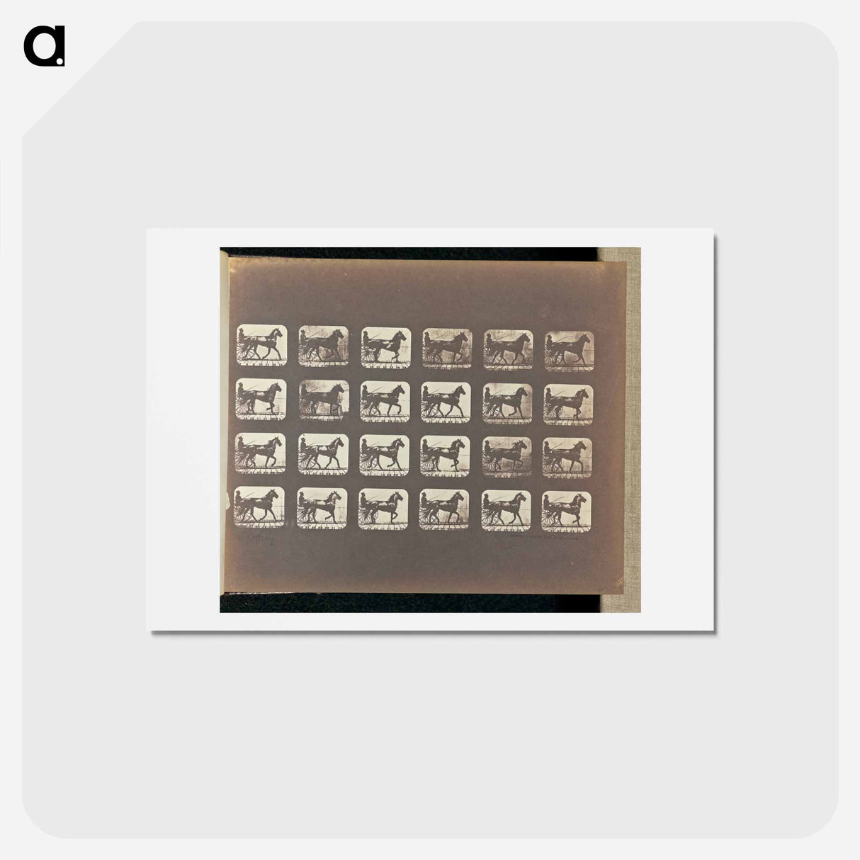 アートポストカード-Trotting
 - エドワード マイブリッジ Postcard.
