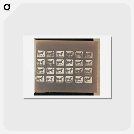 アートポストカード-Trotting
 - エドワード マイブリッジ Postcard.