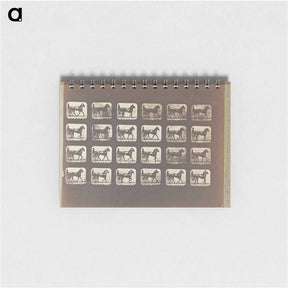 アートメモ帳-Trotting
 - エドワード マイブリッジ Memo.
