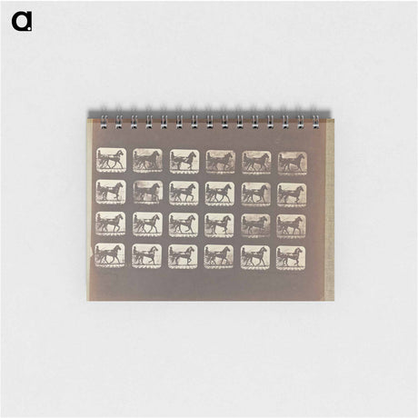 アートメモ帳-Trotting
 - エドワード マイブリッジ Memo.
