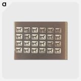 アートポストカード-Trotting
 - エドワード マイブリッジ Postcard.