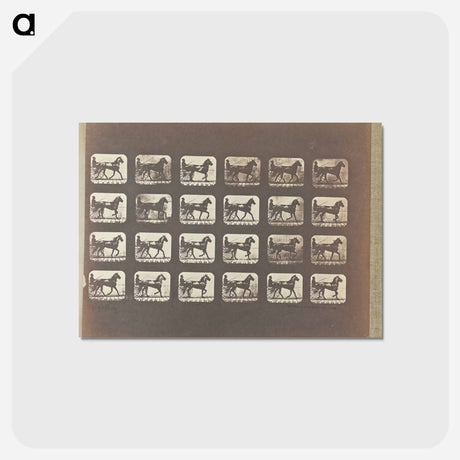 アートポストカード-Trotting
 - エドワード マイブリッジ Postcard.