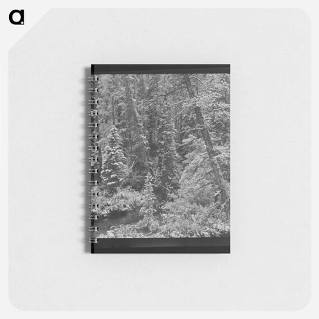 アートメモ帳-Cotton in the Fields
 - ラッセル リー Memo.