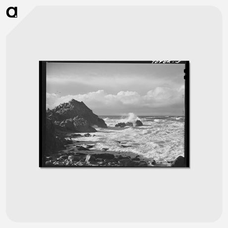 アートポストカード-Pacific Ocean, Monterey County
 - ラッセル リー Postcard.