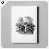 アートパネル-Sailor from Thulia: A Tale of the Antarctic
 - 大英図書館 Canvas.