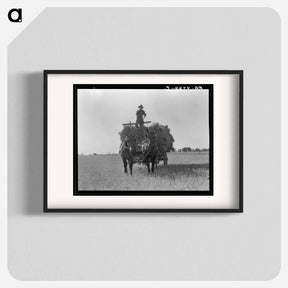 アートポスター-Untitled photo, possibly related to: The threshing of oats. Clayton, Indiana, south of Indianapolis - ドロテア ラング Poster.