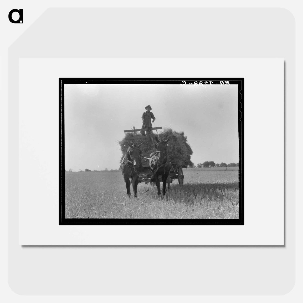 Untitled photo, possibly related to: The threshing of oats. Clayton, Indiana, south of Indianapolis - Dorothea Lange Poster.