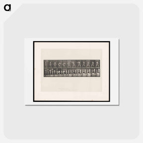 アートポストカード-The Throw
 - エドワード マイブリッジ Postcard.