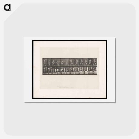 アートポストカード-The Throw
 - エドワード マイブリッジ Postcard.