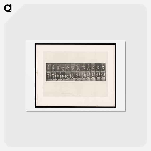 アートポストカード-The Throw
 - エドワード マイブリッジ Postcard.