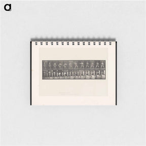 アートメモ帳-The Throw
 - エドワード マイブリッジ Memo.