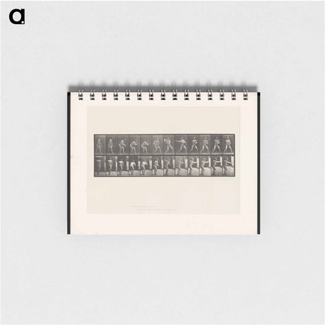 アートメモ帳-The Throw
 - エドワード マイブリッジ Memo.