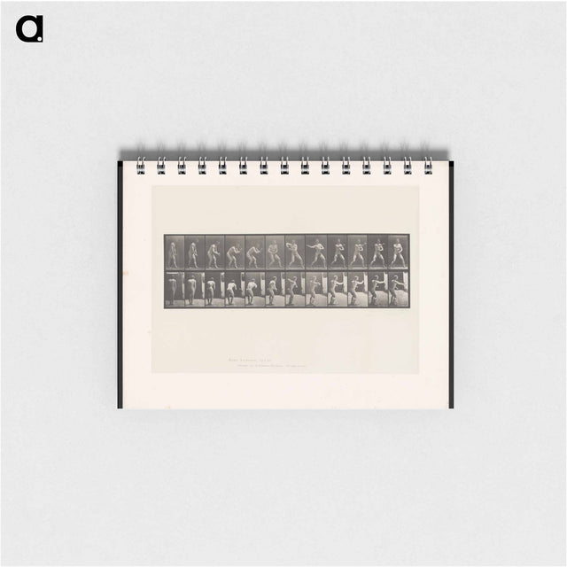 アートメモ帳-The Throw
 - エドワード マイブリッジ Memo.