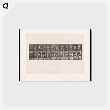 アートポストカード-The Throw
 - エドワード マイブリッジ Postcard.