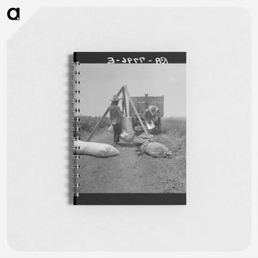 アートメモ帳-Cotton weighing - ドロテア ラング Memo.