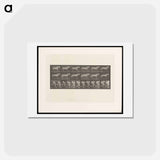 アートポストカード-Walking Horse
 - エドワード マイブリッジ Postcard.