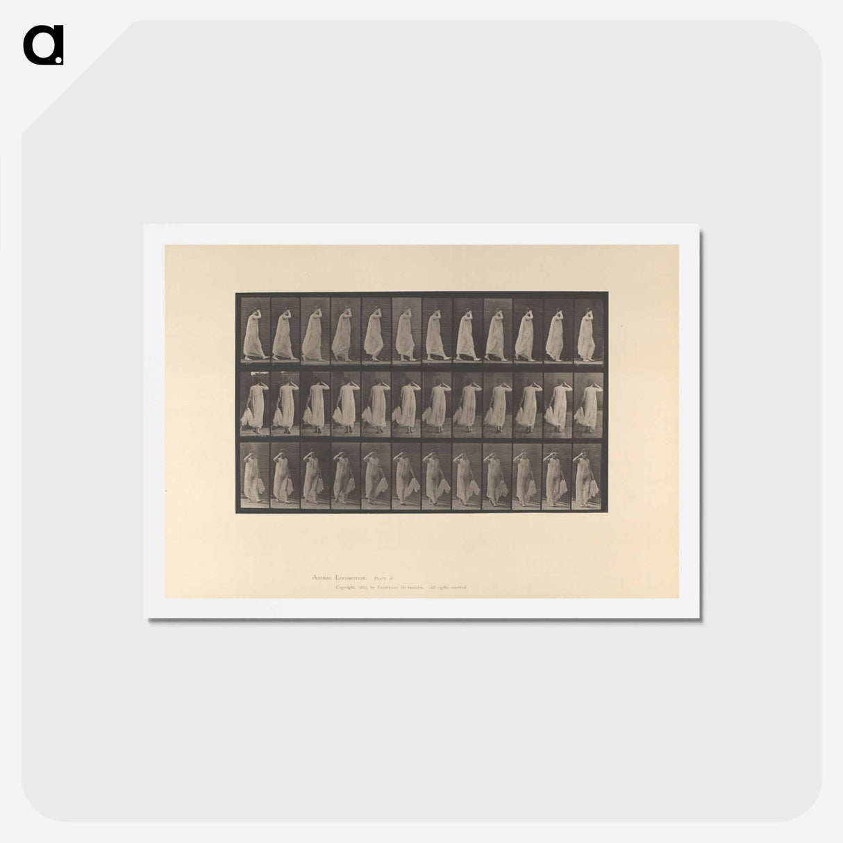 アートポストカード-Walking Woman
 - エドワード マイブリッジ Postcard.