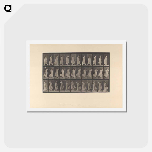 アートポストカード-Walking Woman
 - エドワード マイブリッジ Postcard.