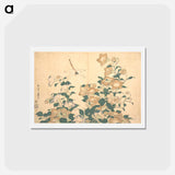 アートポストカード-Hokusai's dragonfly and bellflower - 葛飾 北斎 Postcard.