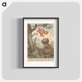 アートポスター-The Republican Rattle-Snake Fascinating the Bedford-Squirrel
 - イェール大学アートギャラリー Poster.