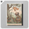 アートパネル-The Republican Rattle-Snake Fascinating the Bedford-Squirrel
 - イェール大学アートギャラリー Canvas.